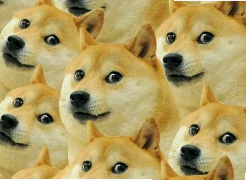 chú chó meme cheems cười nham nhở