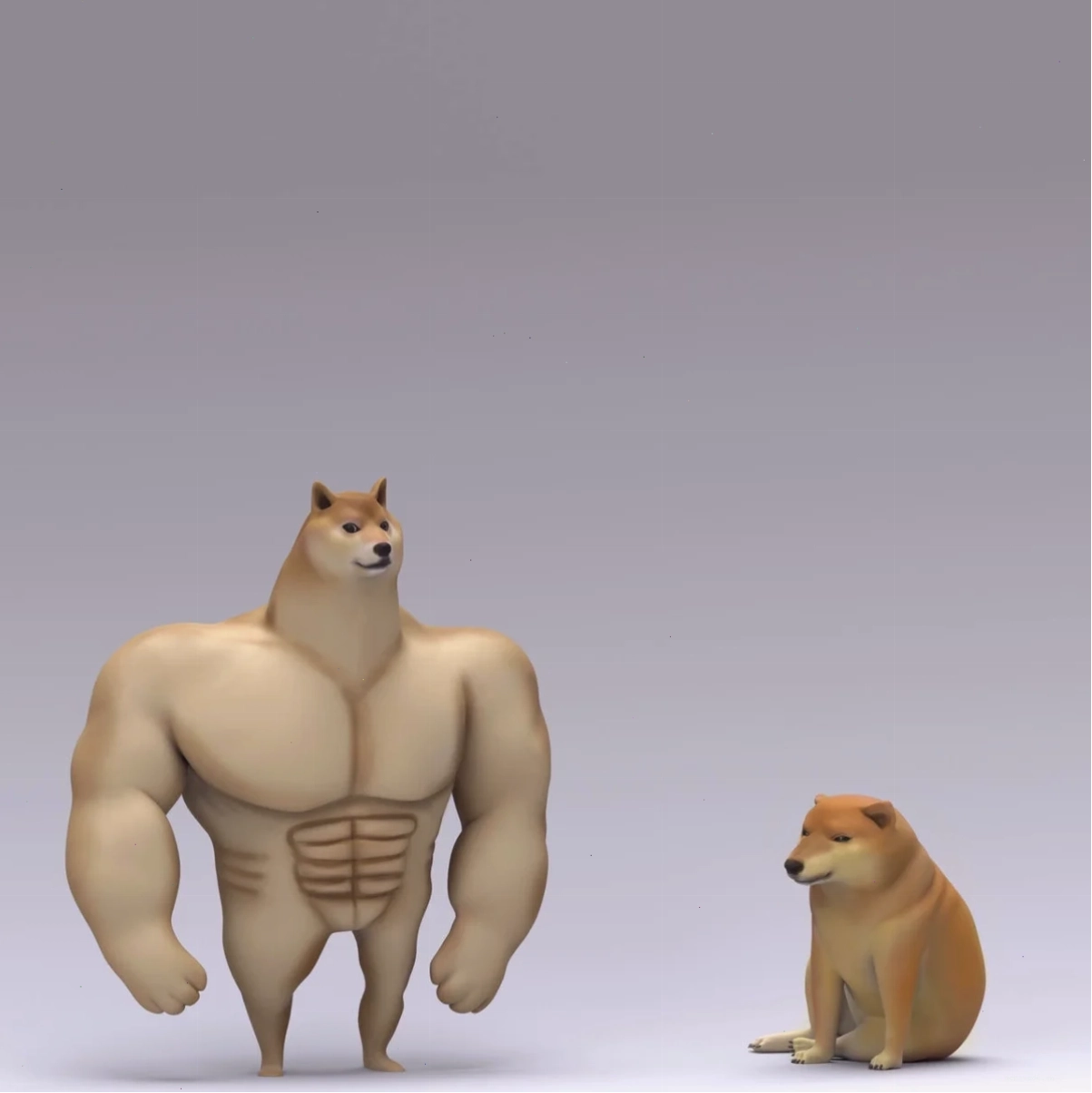 chú chó meme cheems đánh vai