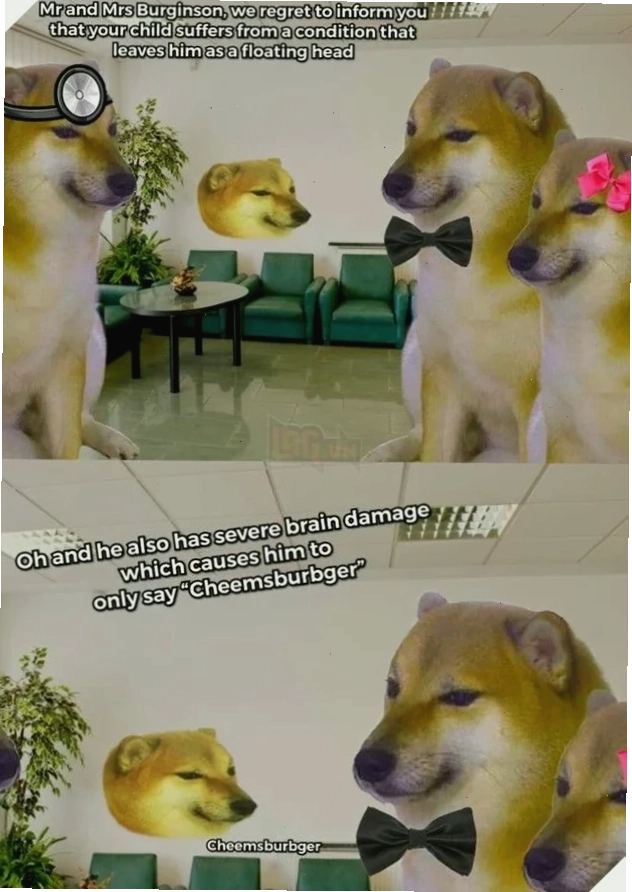 chú chó meme cheems đeo nơ