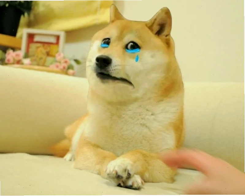 chú chó meme cheems đi du lịch