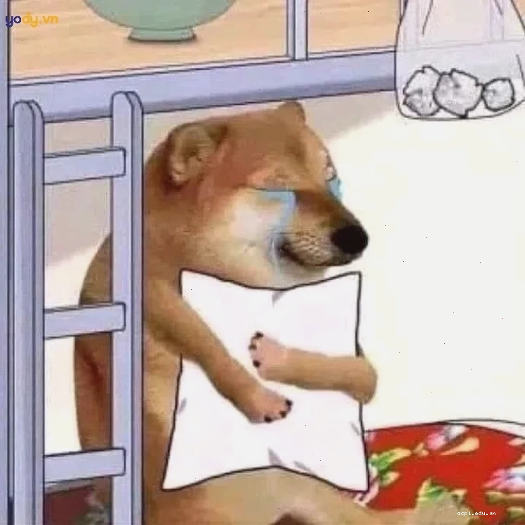 chú chó meme cheems đội mũ