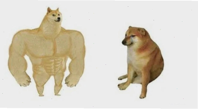 chú chó meme cheems học bài