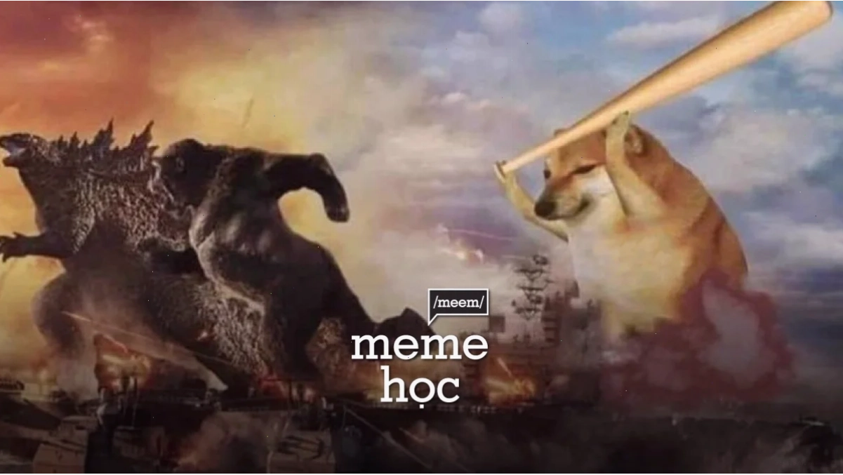 chú chó meme cheems ngồi máy tính