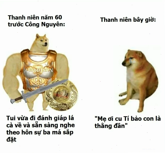 chú chó meme cheems ôm đầu