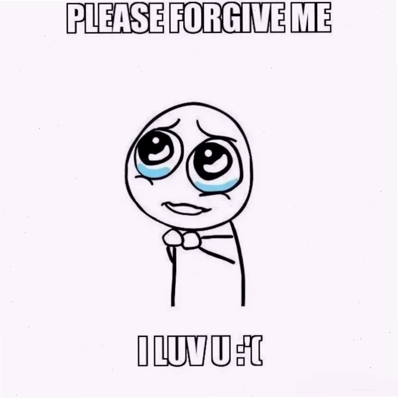Chú mèo con chắp tay van xin cầu xin meme