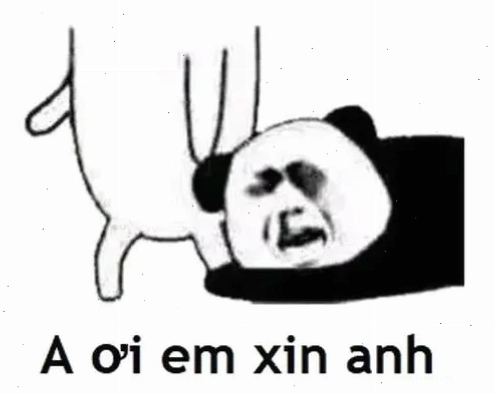 Chú mèo con mắt long lanh cầu xin meme