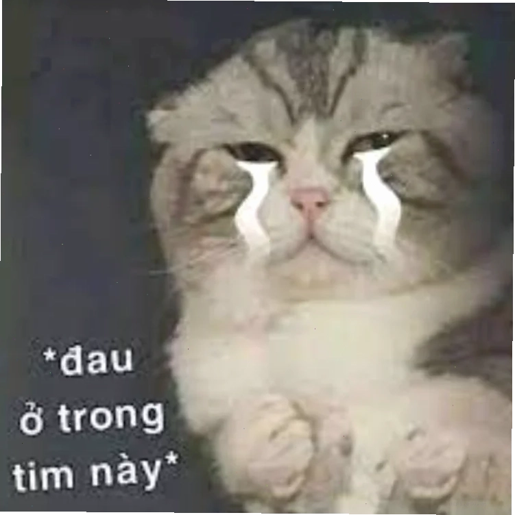 Chú vịt vàng biểu cảm đau ở đây này meme cực lầy
