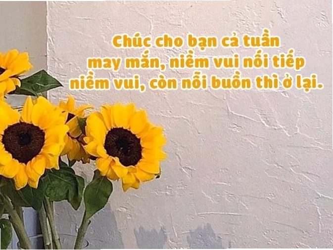 chúc bạn may mắn lần sau meme bat ngo
