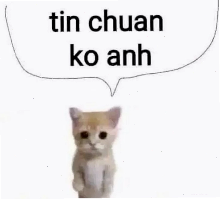 Chứng khoán và tin chuẩn chưa anh meme