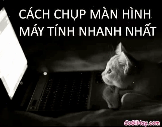 chụp màn hình meme vui