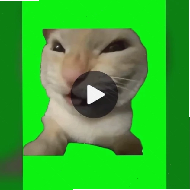 Clip meme cười nghiêng ngả