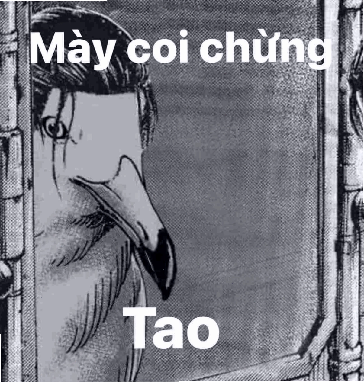 coi chừng tao meme cười nghiêng ngả
