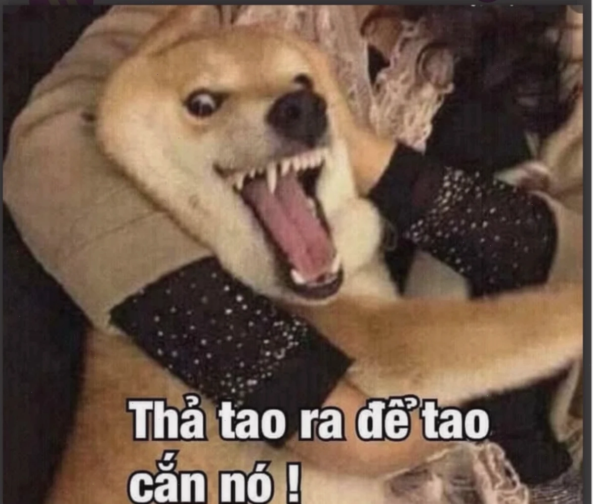coi chừng tao meme phong cách hoạt hình