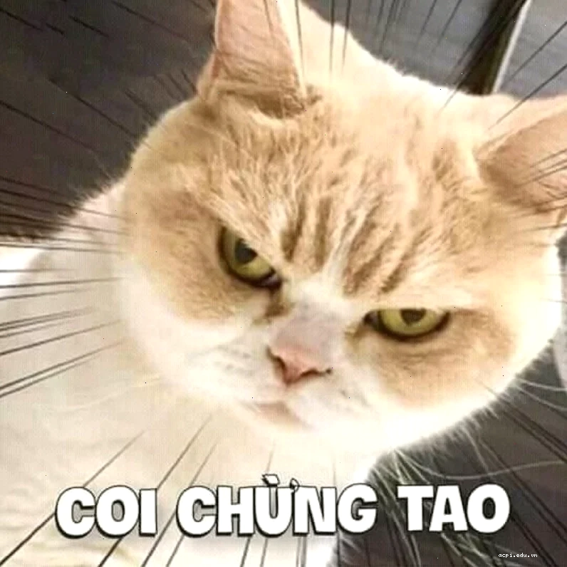 coi chừng tao meme phong cách tối giản
