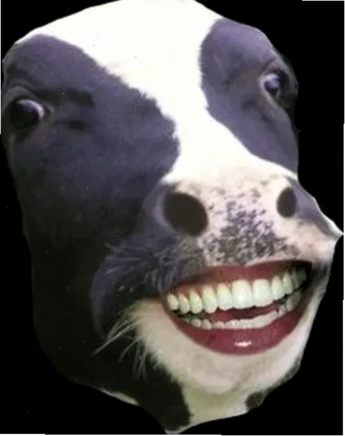 con bò cười meme cười to
