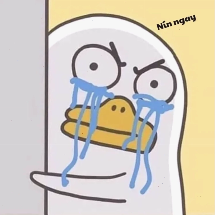 còn gì nữa đâu mà khóc với sầu meme trên điện thoại