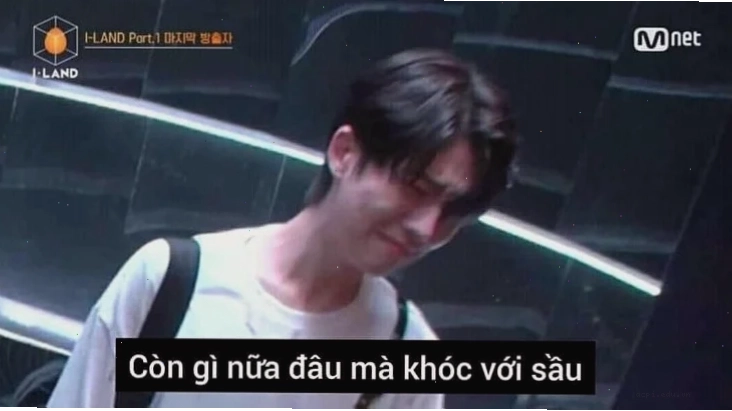 còn gì nữa đâu mà khóc với sầu meme trên máy tính