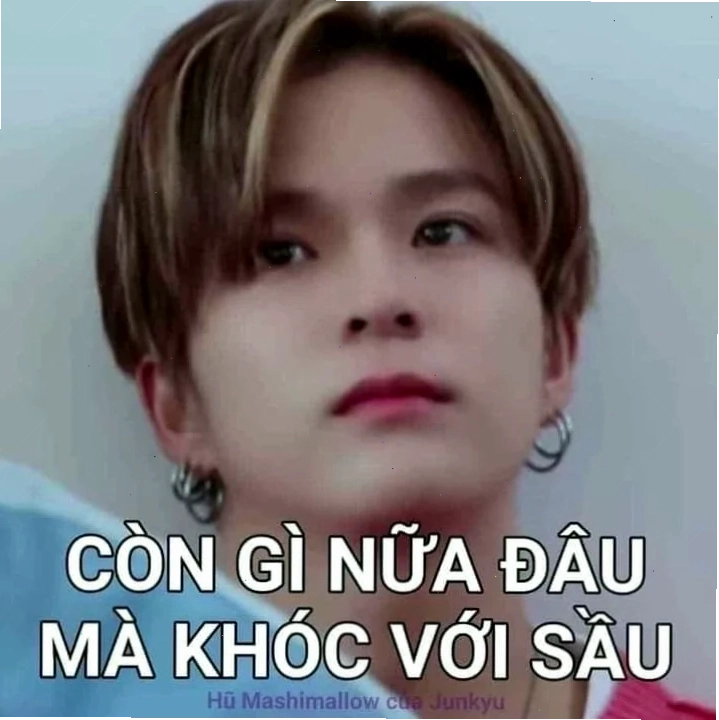 còn gì nữa đâu mà khóc với sầu meme vui vẻ