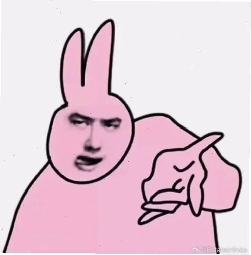 con thỏ meme vui sướng