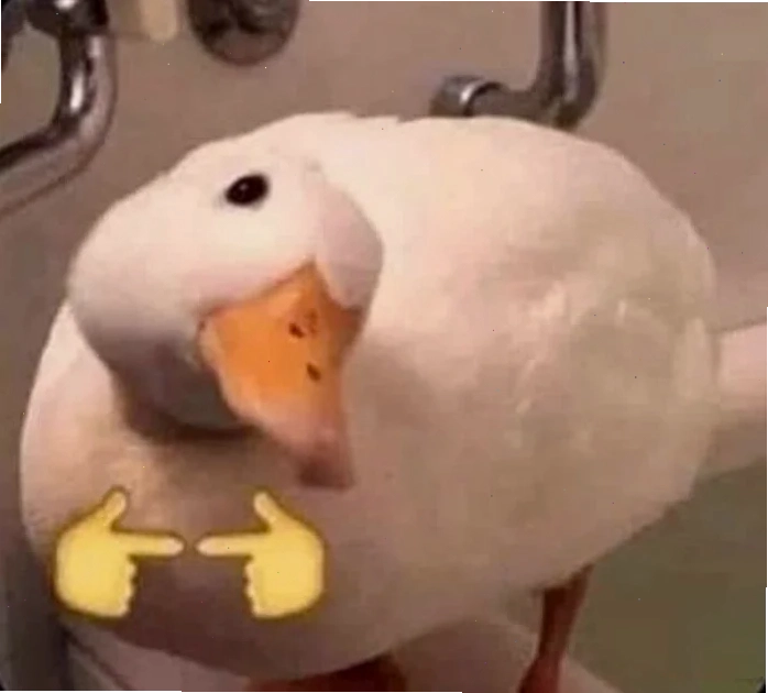 con vịt meme buồn