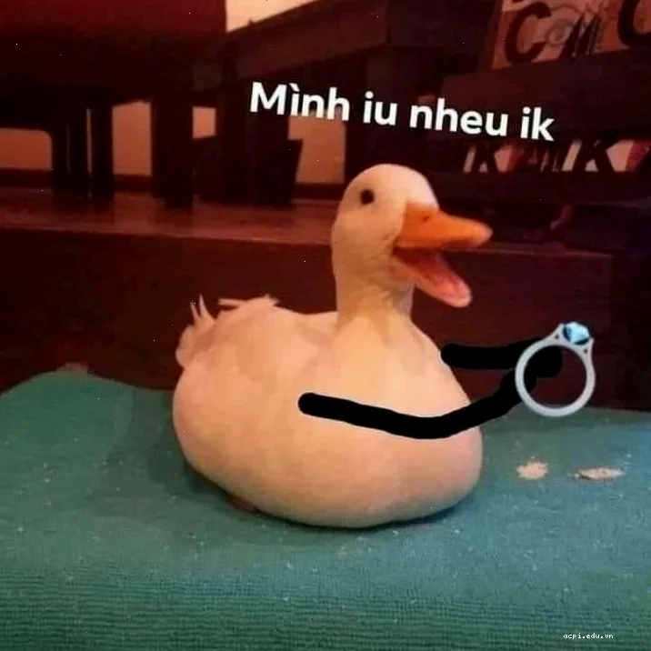 con vịt meme đang chu mỏ
