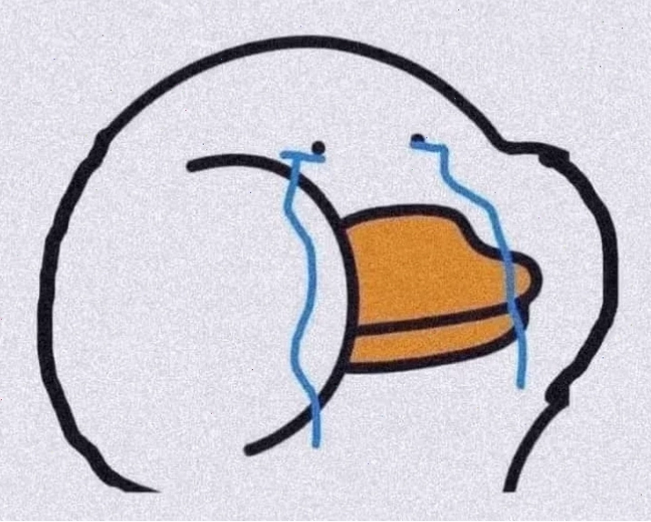 con vịt meme ngủ