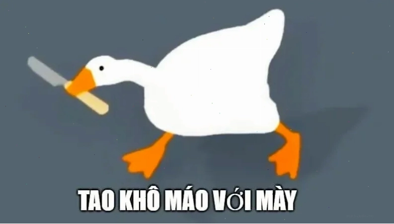 con vịt meme tắm