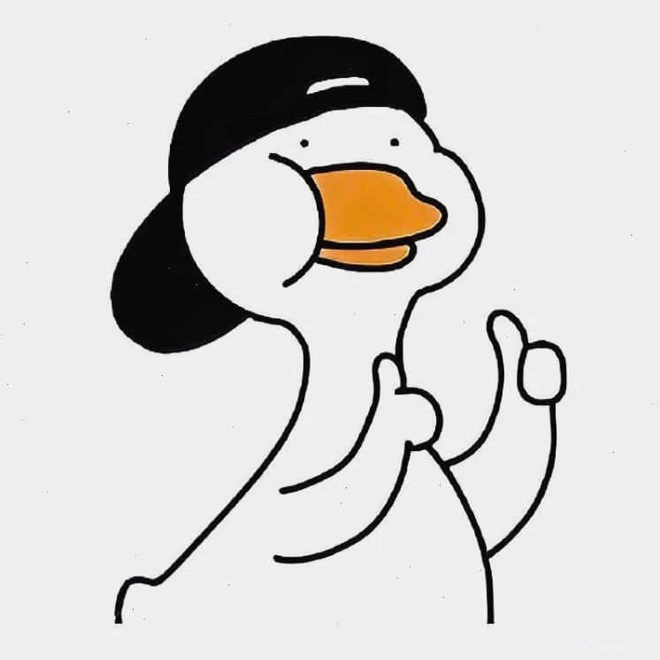 con vịt meme trong hộp