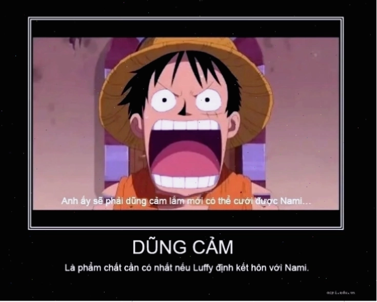 cộng đồng fan cứng meme