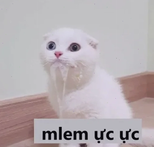 cộng đồng mlem memes