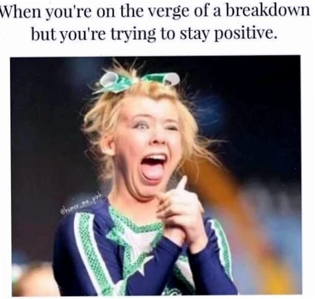 crazy meme dog
