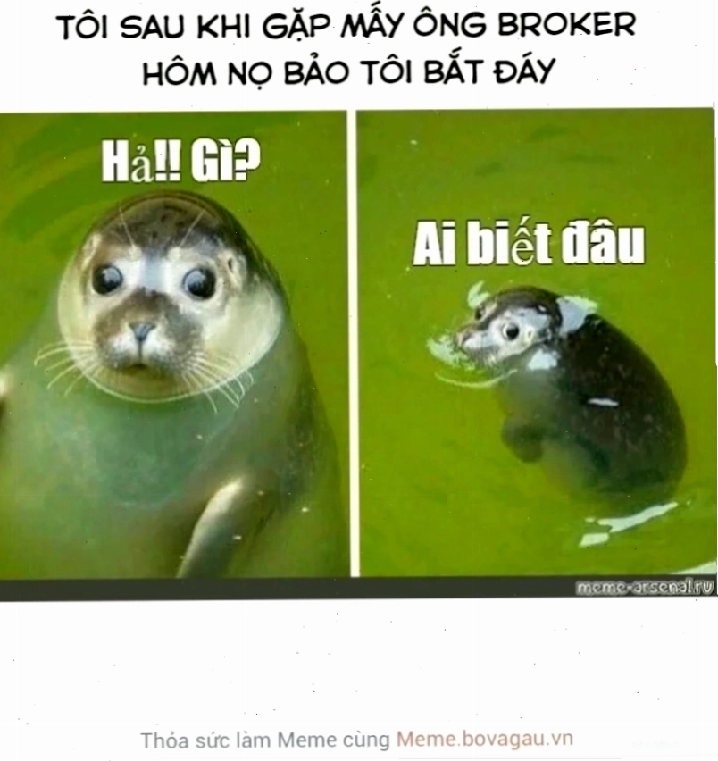 Cười nghiêng ngả cùng đây là đâu tôi là ai meme