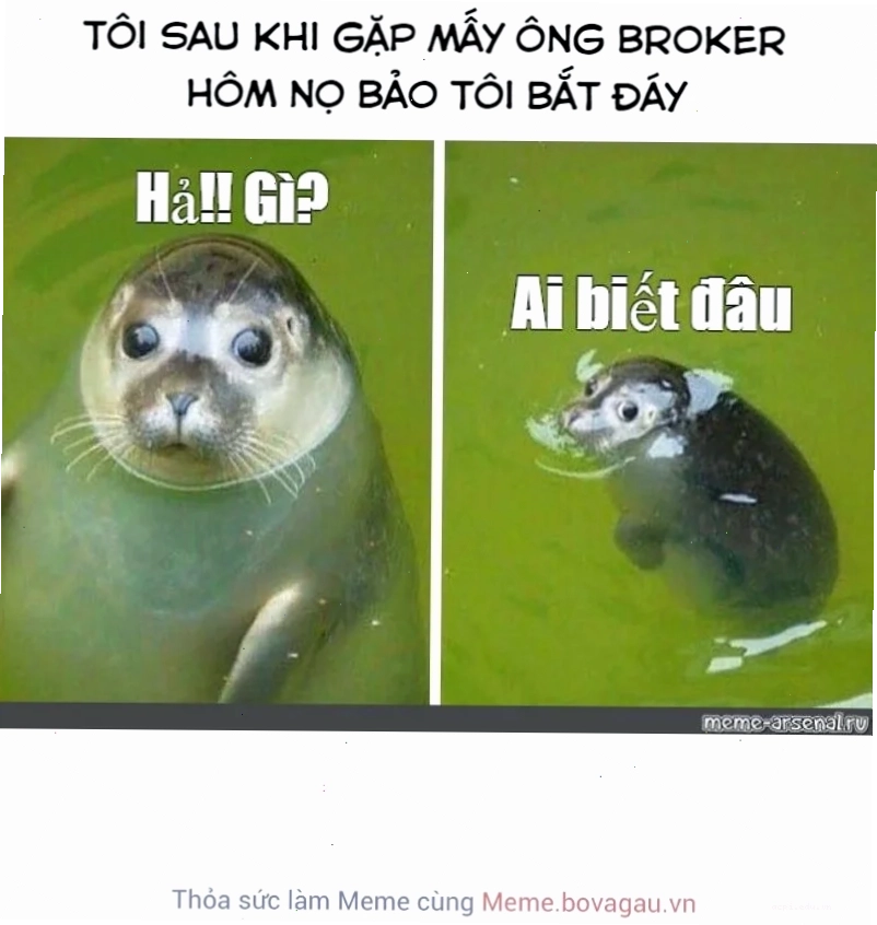Cười nghiêng ngả cùng đây là đâu tôi là ai meme