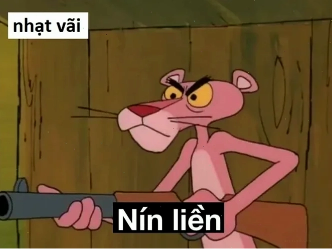 cười nhạt meme