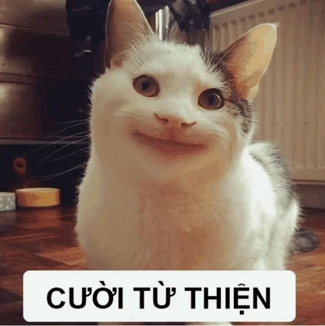 cười từ thiện meme biểu cảm hài