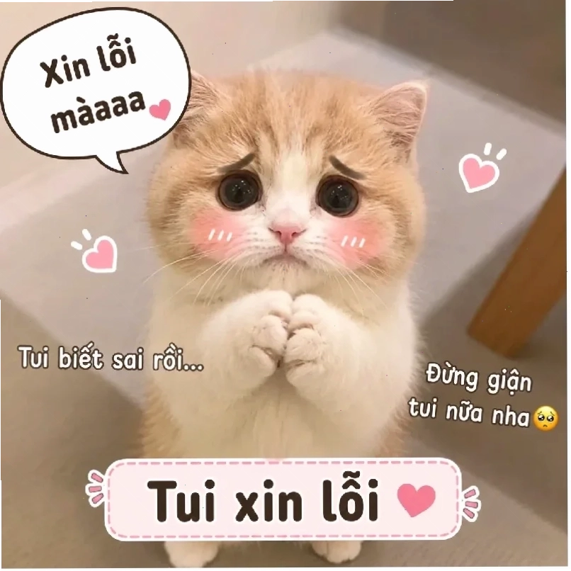 cười từ thiện meme chó tức giận