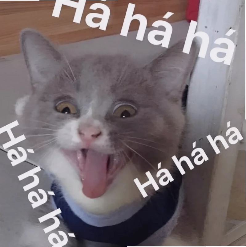 cười từ thiện meme chú gấu cười gượng