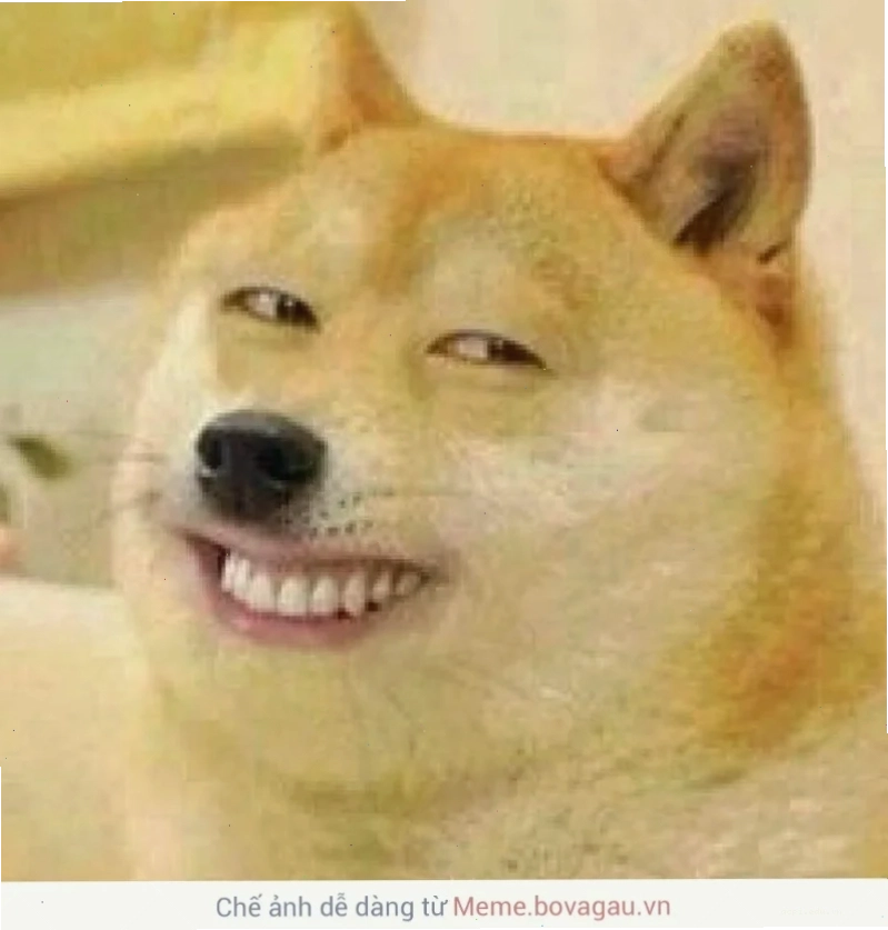 cười từ thiện meme chú mèo cười chảy nước mắt