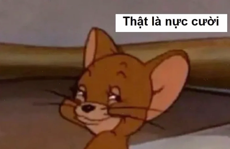 cười từ thiện meme chú mèo cười giả vờ
