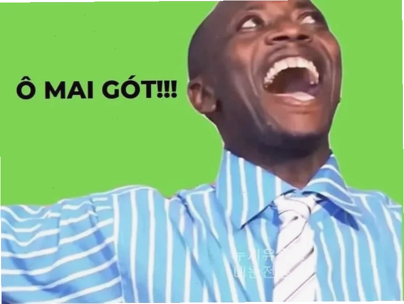 cười từ thiện meme chú mèo cướp xe