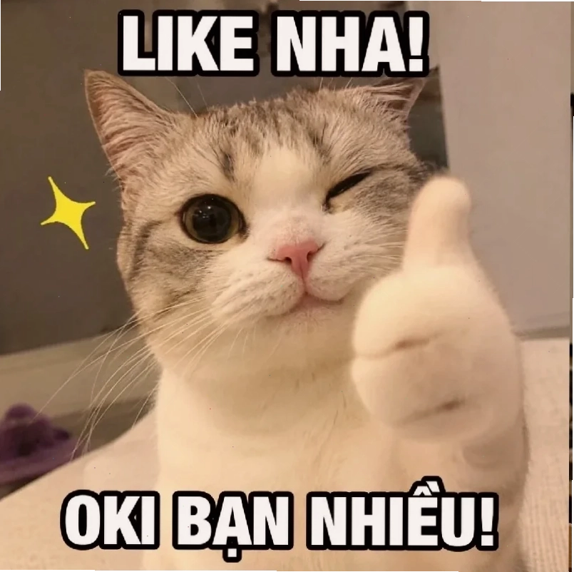 cười từ thiện meme chú mèo đau bụng