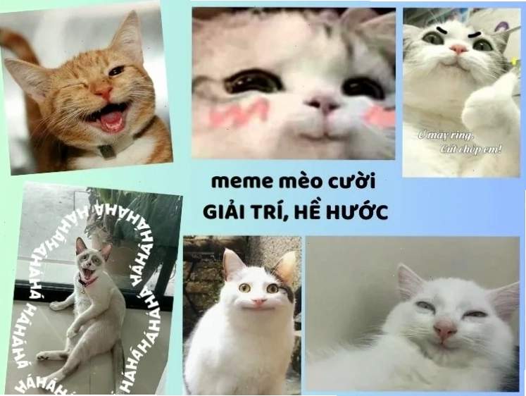 cười từ thiện meme người đàn ông