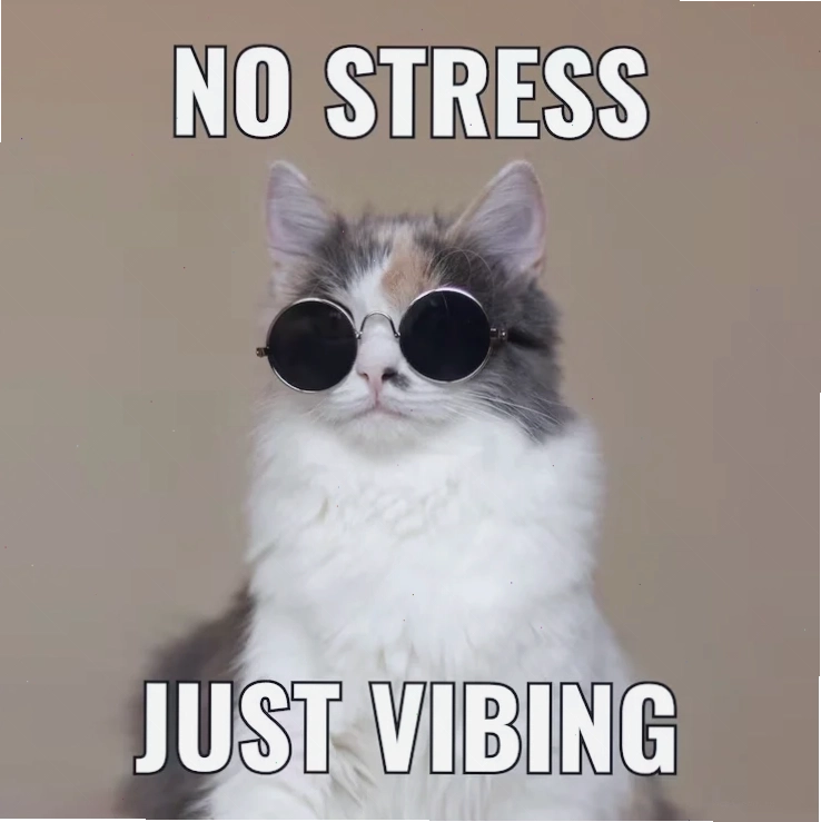 Cute meme chó con nói lời chào buổi sáng