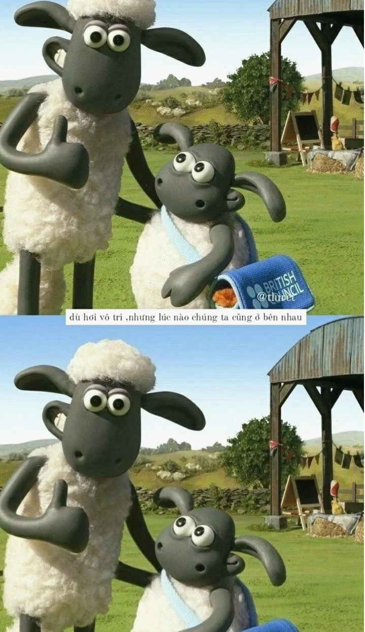 cừu meme buồn
