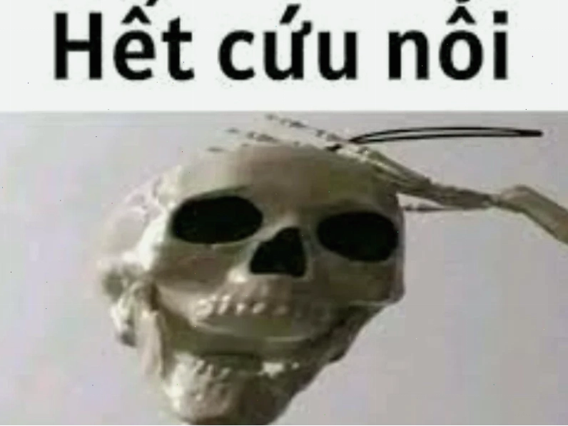 cừu meme ca hát