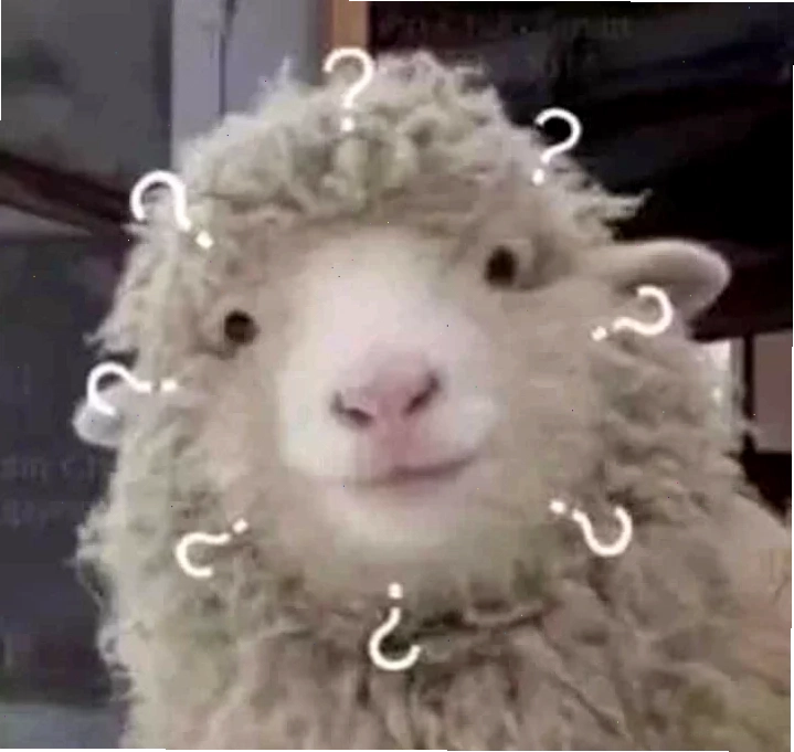 cừu meme dễ thương