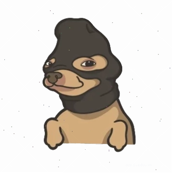 cừu meme đi chơi