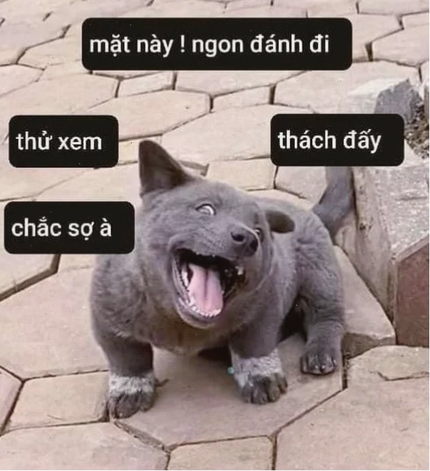 dân chơi đấy meme kết thúc