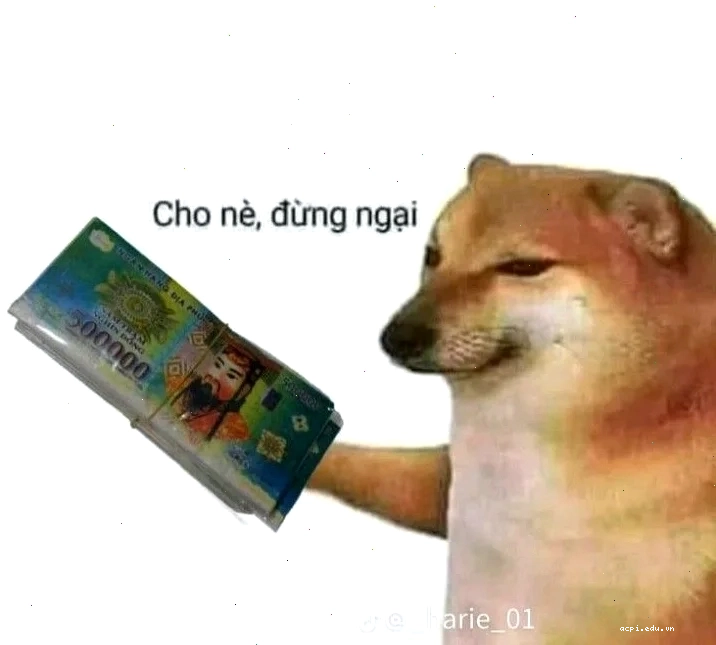 dân chơi đấy meme khó lường
