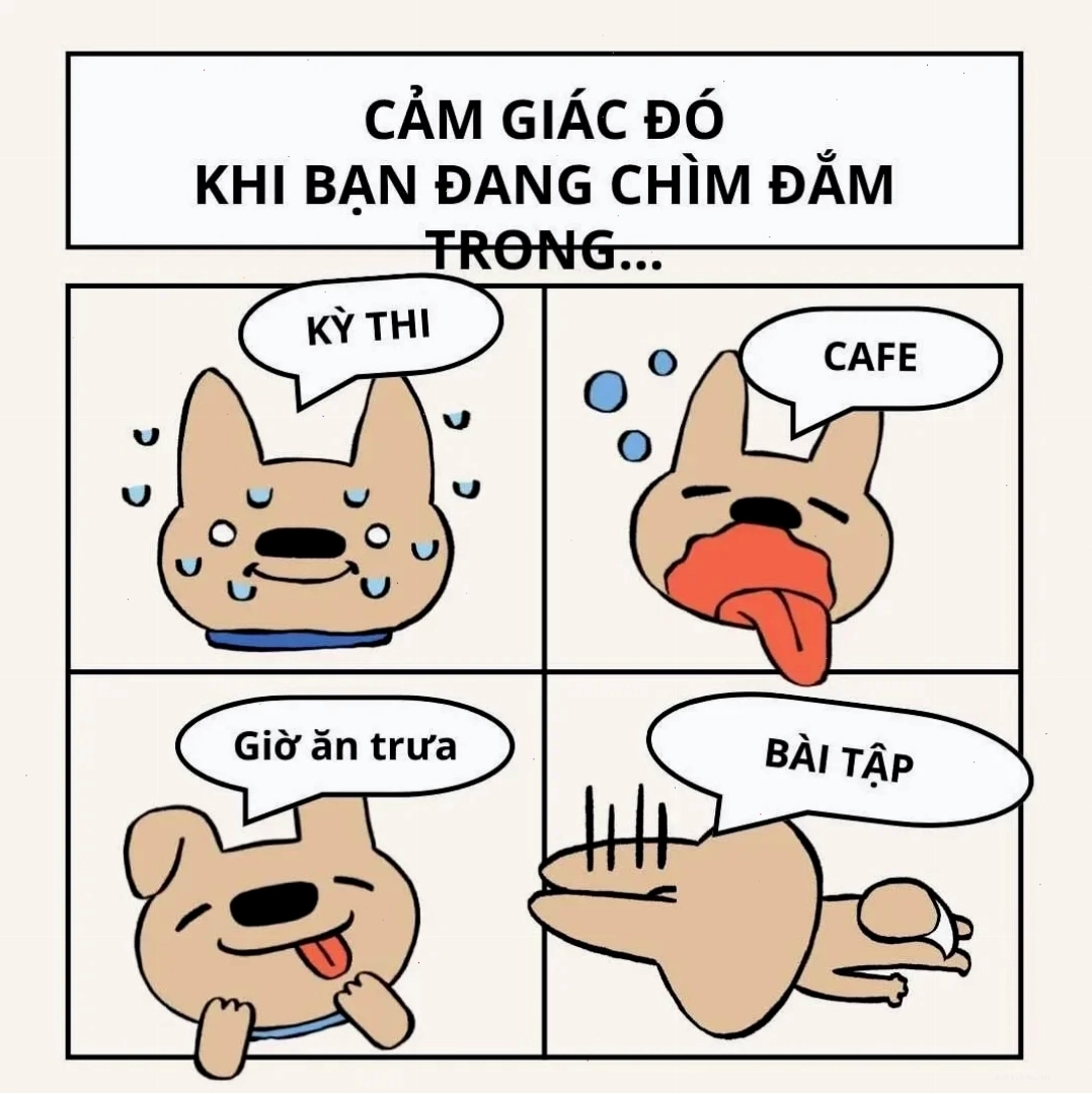 dân chơi đấy meme lật kèo